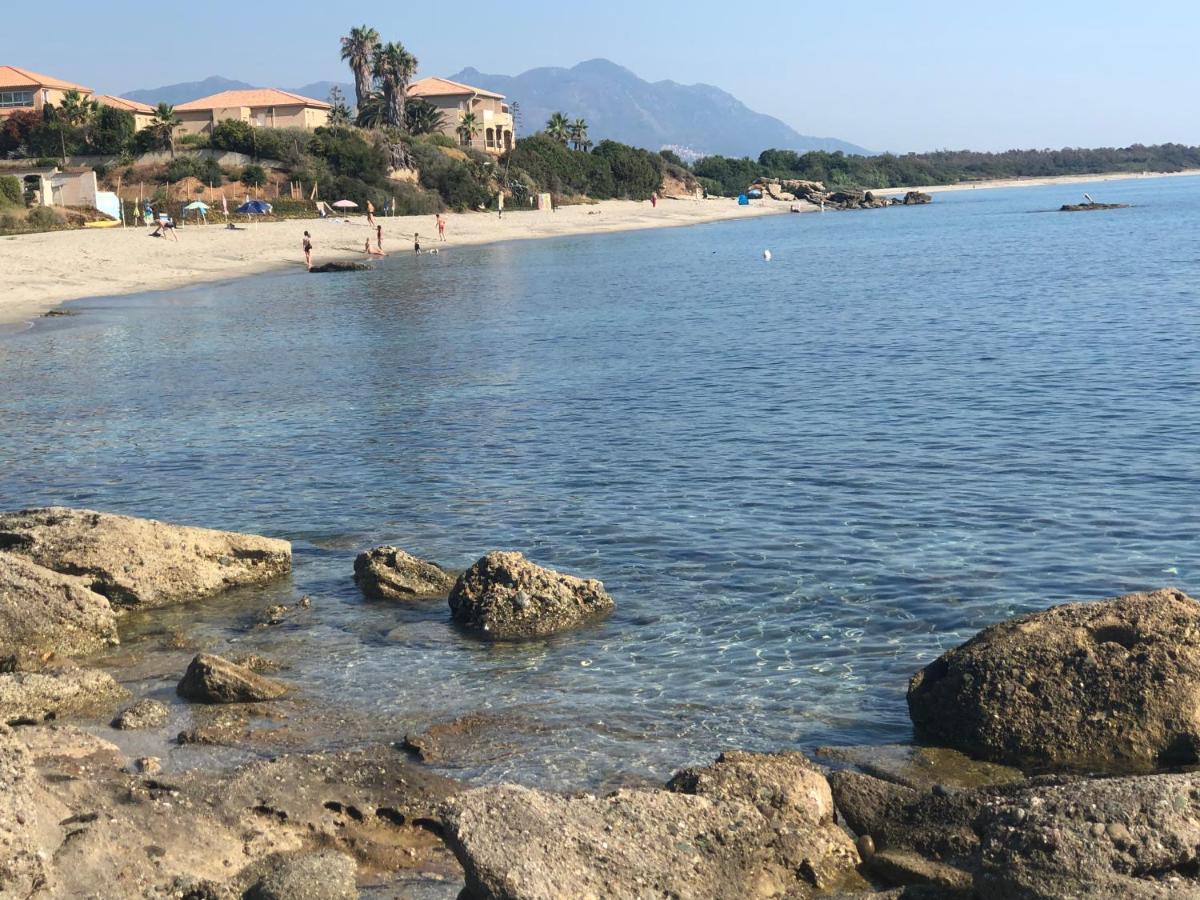 La Corse Tranquille 300M De La Plage Et Piscine Linguizzetta Bagian luar foto