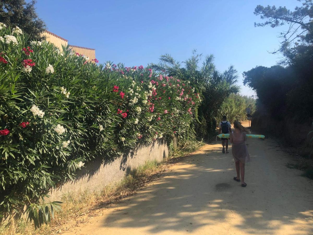 La Corse Tranquille 300M De La Plage Et Piscine Linguizzetta Bagian luar foto